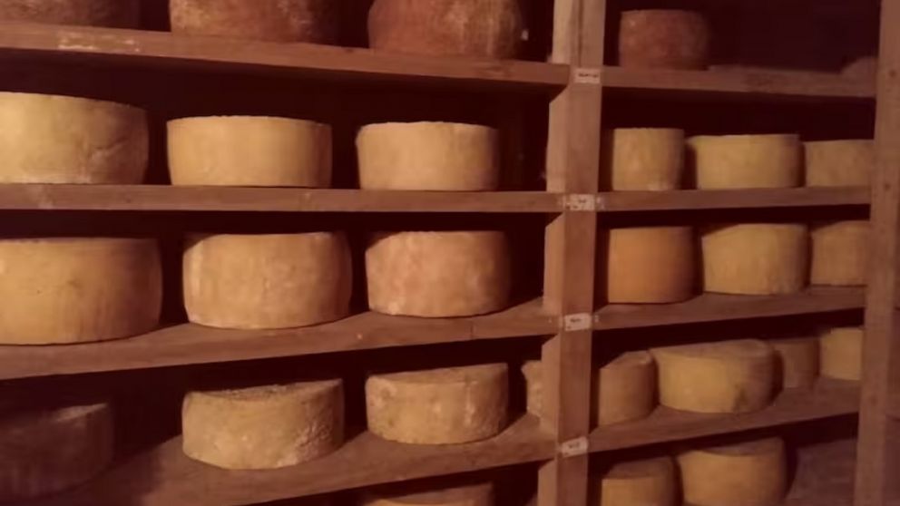 El alimento fue identificado y decomisado por el gobierno (imagen ilustrativa).