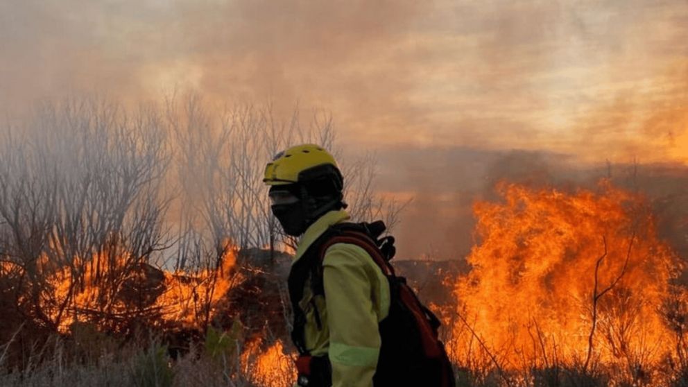 Incendios en el sur de Mendoza