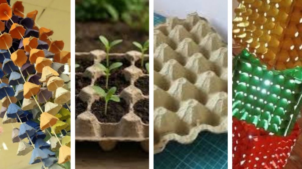 Transformá tus maples de huevos en proyectos ecológicos y útiles