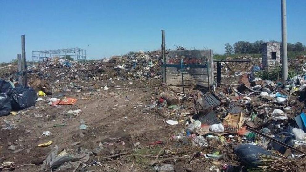 Horror por cadáver de bebé descuartizado en basural