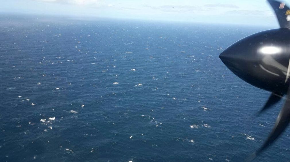 La nave pertenece a la "Escuadrilla Aeronaval de Vigilancia Marítima".