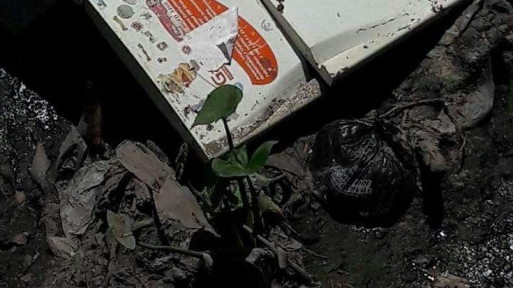 Cuando las autoridades quitaron la heladera, advirtieron que se trataba de una mujer.