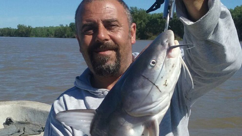 Otro de los bagres de mar o mimosos obtenidos