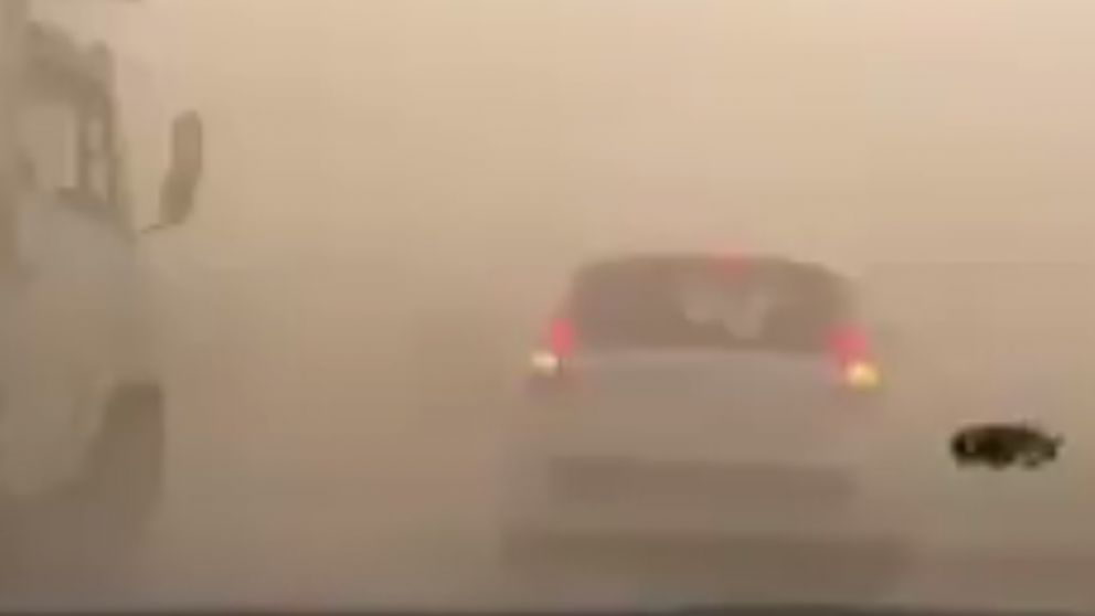 Visibilidad cercana a cero. (Captura)