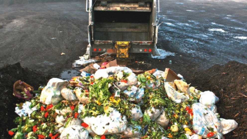 Las Naciones Unidas lanzó un informe en el día Mundial de la Alimentación.