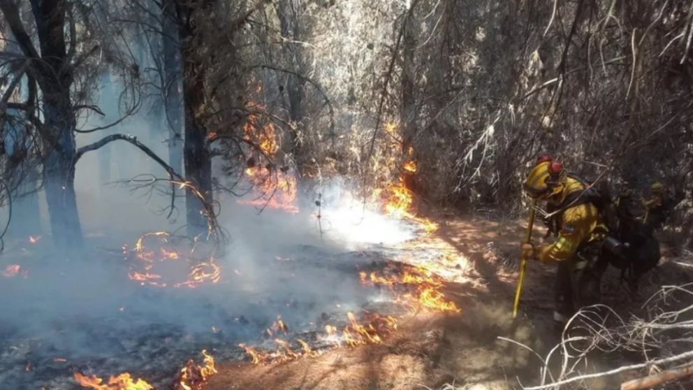 Los incendios forestales que azotan la Patagonia comenzaron el pasado 5 de enero.