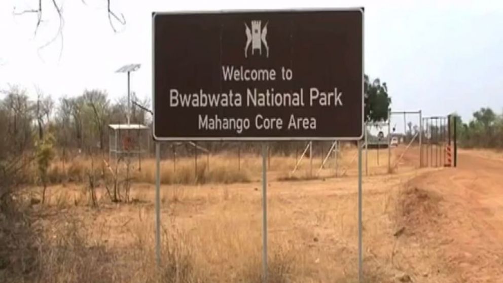 MUERTES. Más de 100 hipopótamos fueron encontrados sin vida. (Namibian Broadcasting Corporation)