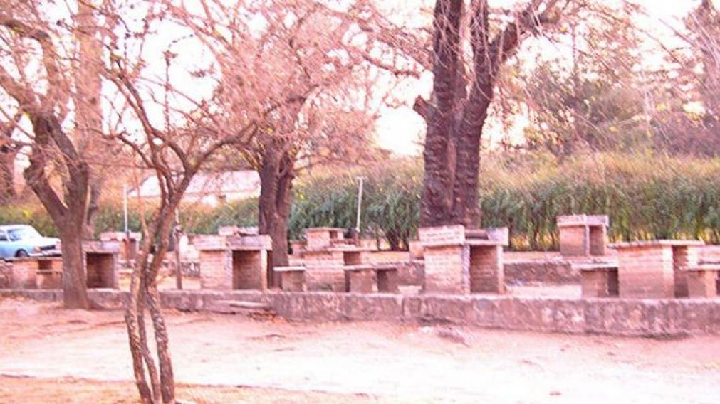 Boy scout de 11 años murió al caerle árbol en la cabeza
