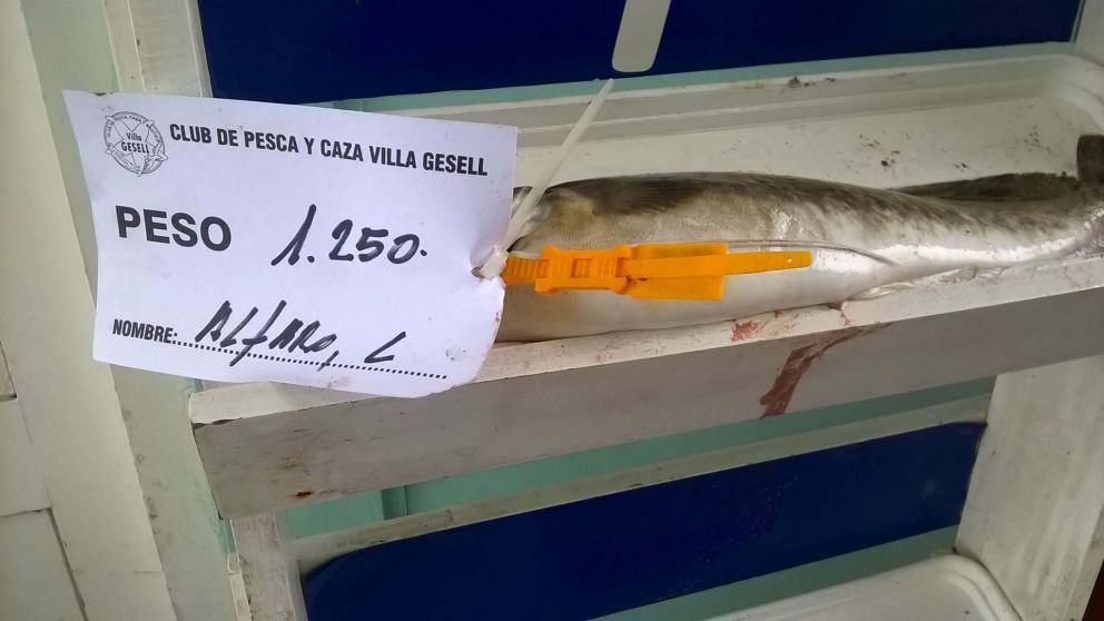 La pieza que pago 120 mil pesitos.