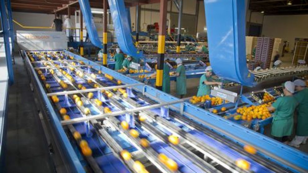 La mujer fue apresada y aniquilada por el artefacto