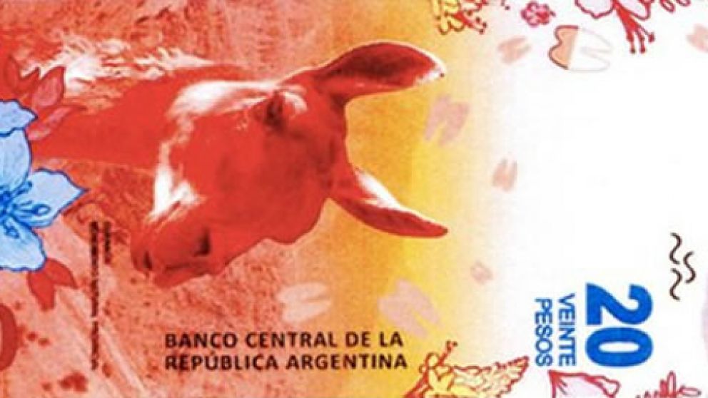 Este es el nuevo billete, con el guanaco como emblema.