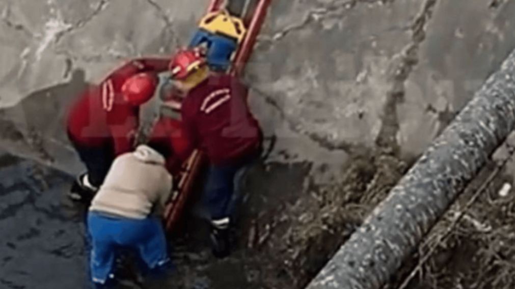 La mujer se salvó de milagro (gentileza El Tribuno).