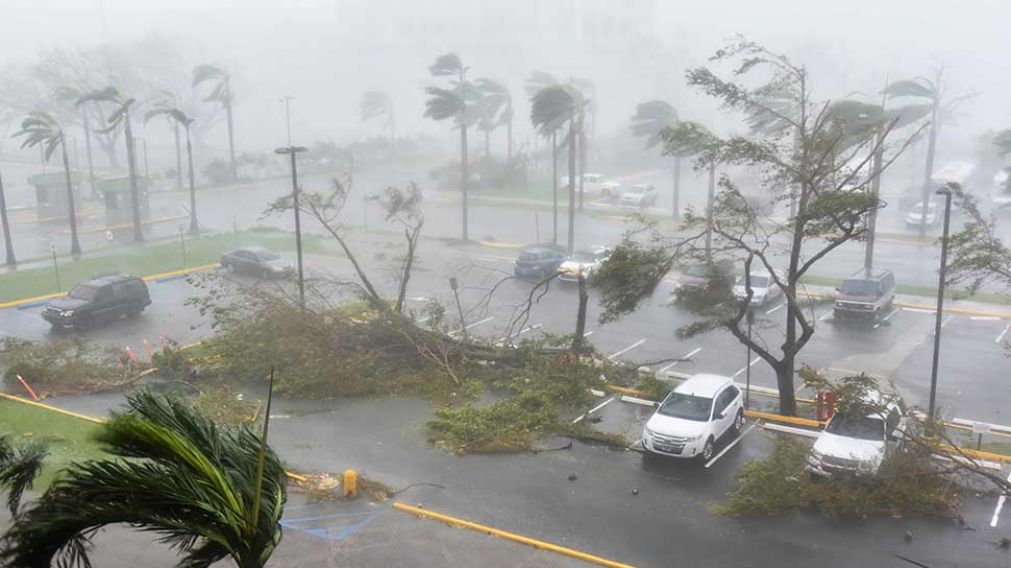 MARIA. Los vientos llegaron a 200 km/hora. (AFP)