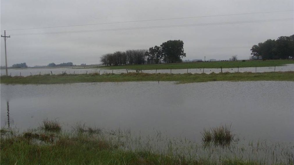 En el partido de Bolívar, hay varias localidades aisladas por el agua (archivo).