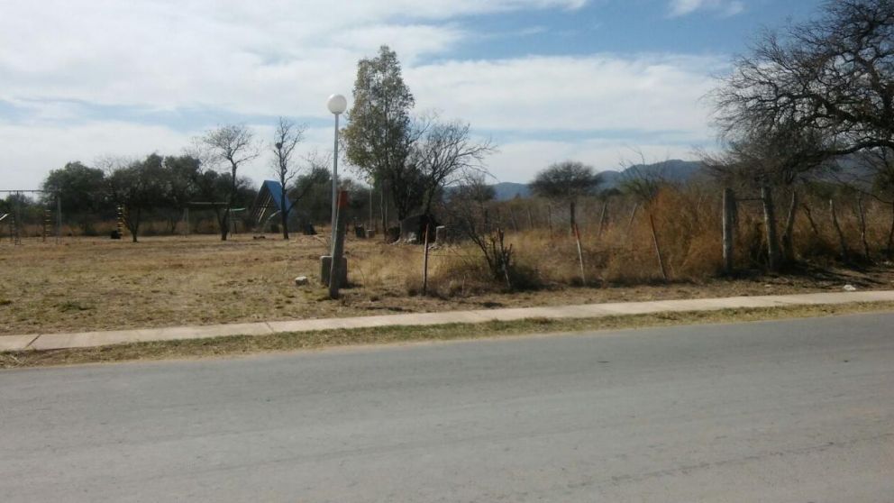 Pidieron agua potable, abrieron la canilla y salieron peces muertos