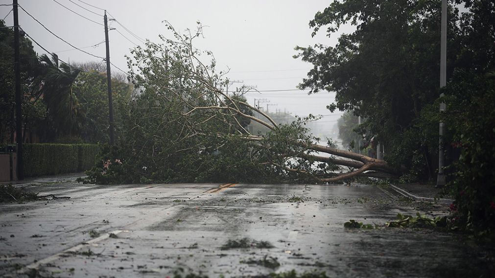 HURACÁN. Irma llegó y arrasa con todo en Miami, Florida. (AFP)