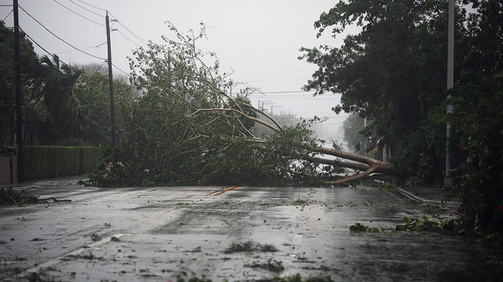 HURACÁN. Irma llegó y arrasa con todo en Miami, Florida. (AFP)