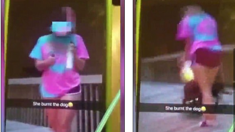 Piba quem� a su perro y public� video en Snapchat