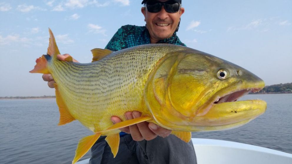 Pique en la confluencia