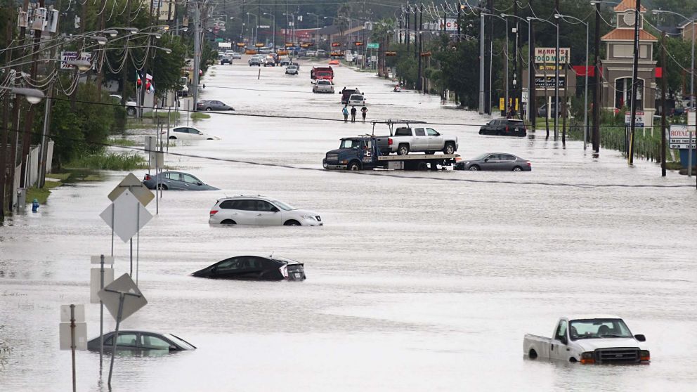 Un milagro en medio de tanto desastre