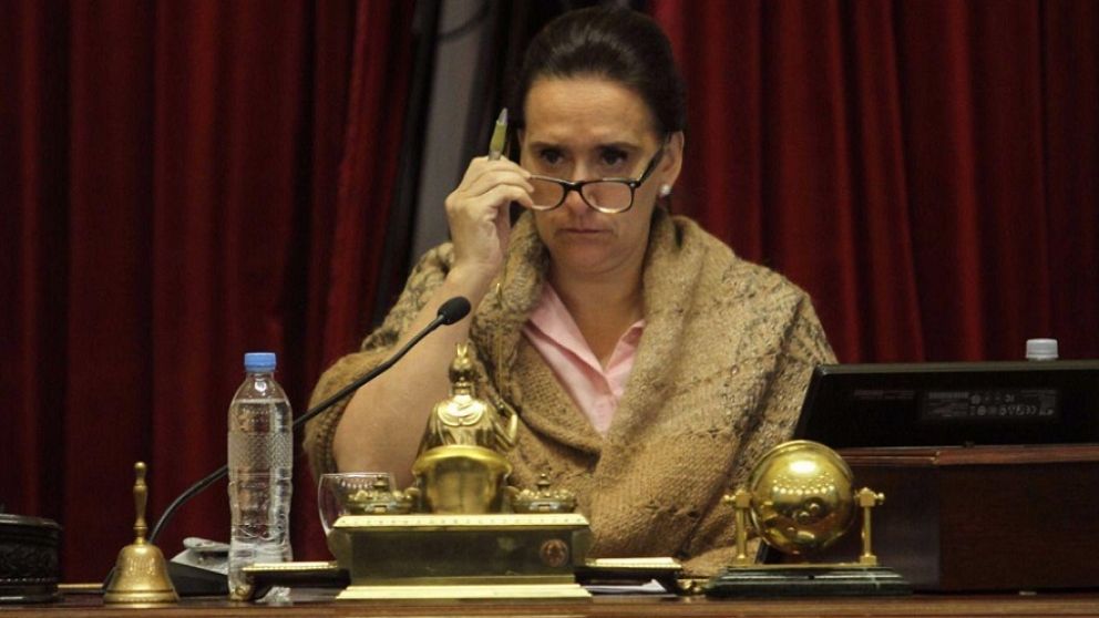 Michetti enojada en la Cámara alta.