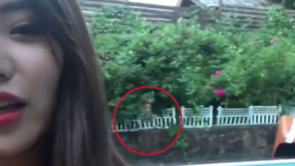 La espeluznante aparición.