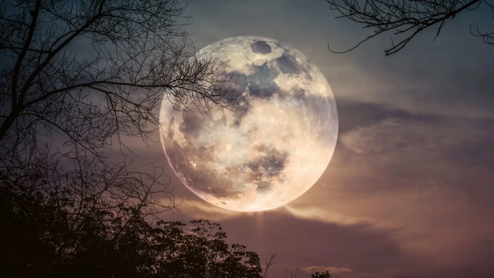 Luna llena en Leo: qué cambios trae para cada signo y cómo aprovechar su energía
