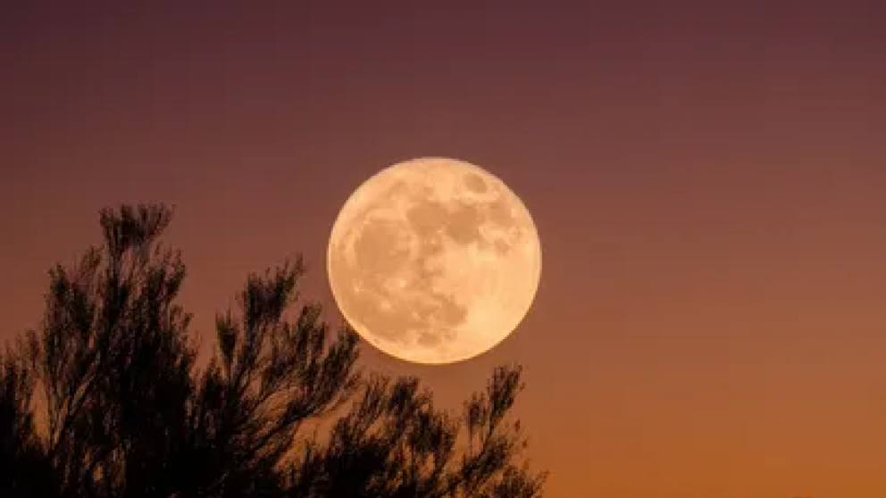 Los 6 signos que vivirán una fuerte transformación luego de la salida de la Luna Llena