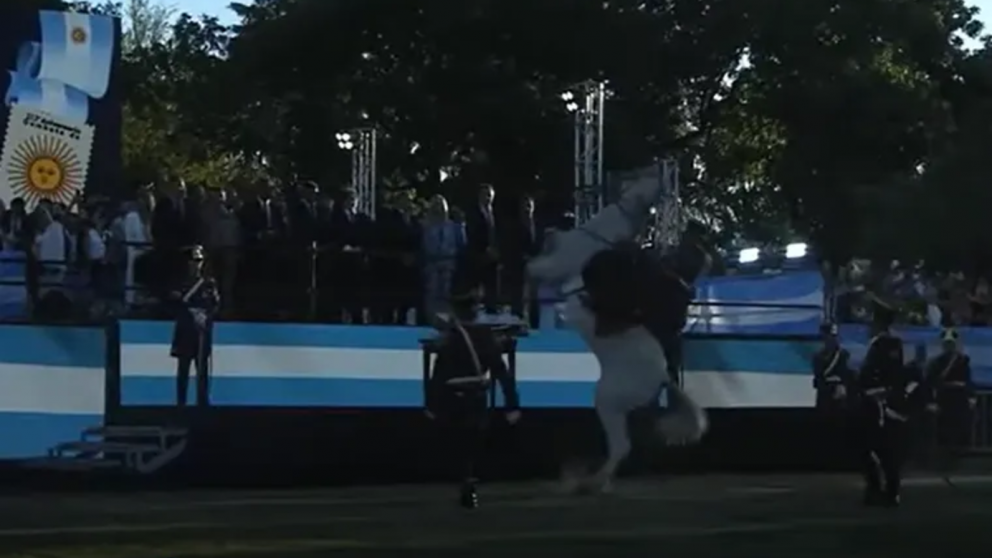 En medio del acto de entrega del sable corvo, un caballo blanco tiró al suelo a un granadero (Captura video).