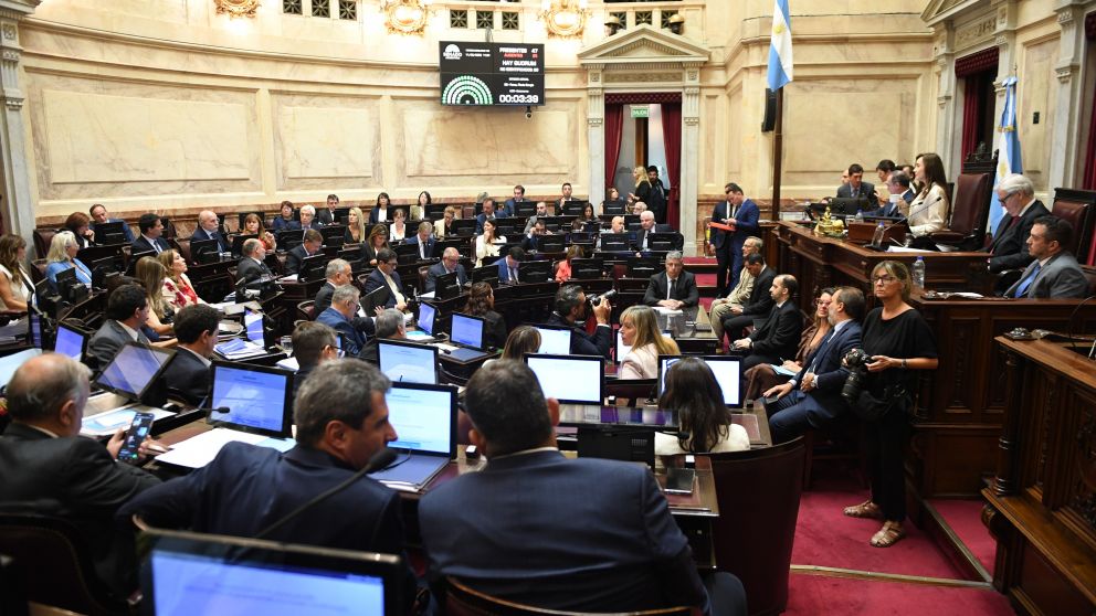 UNA POSTAL DE LA JORNADA. El Senado debate la reforma laboral.