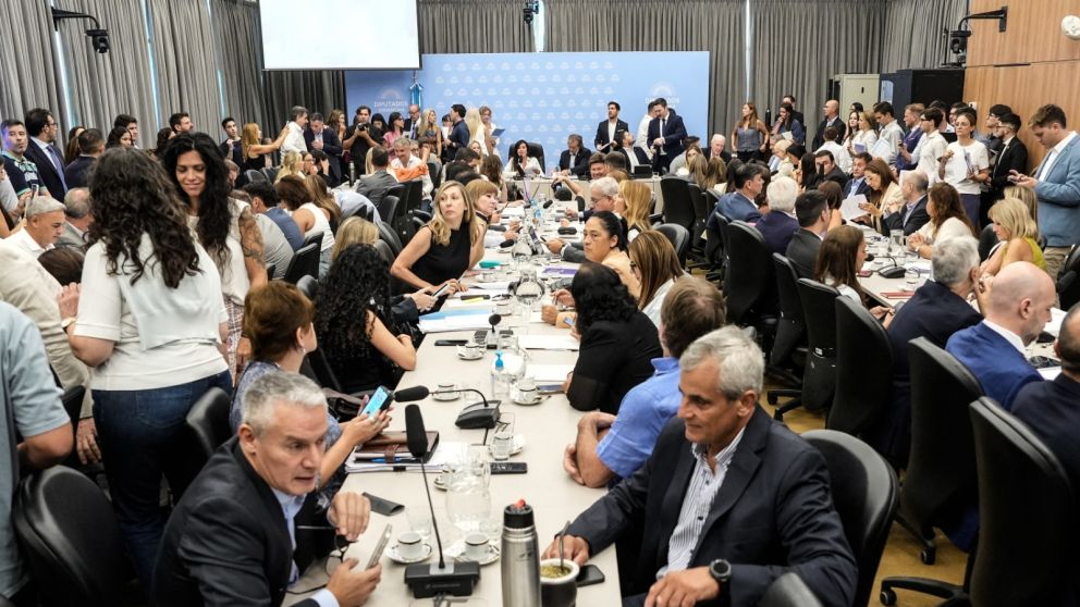 Un plenario de comisiones debate el proyecto para bajar la edad de imputabilidad.