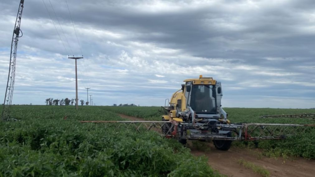 El hombre realizaba trabajos de fumigación en el campo y murió electrocutado.