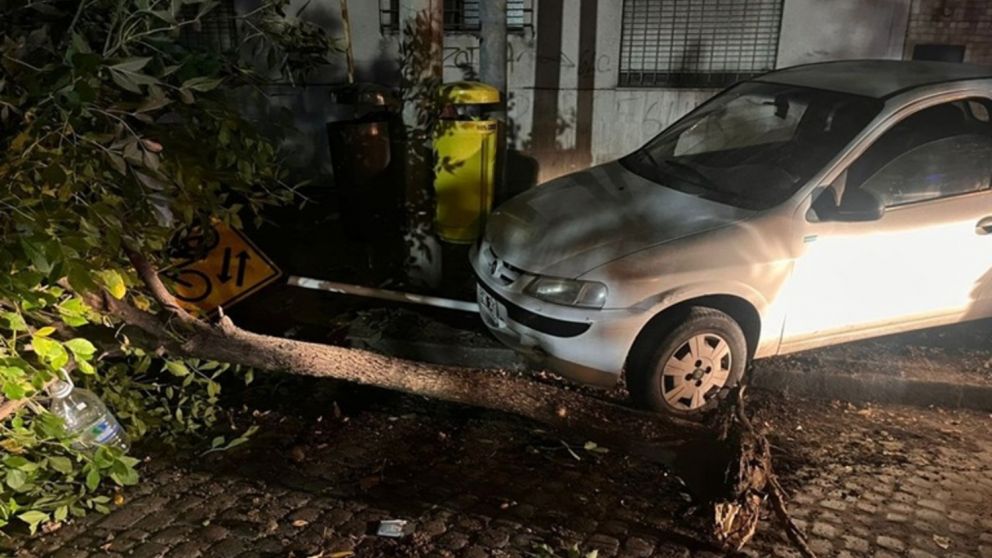 El vehículo del acusado quedó impactado contra un árbol.