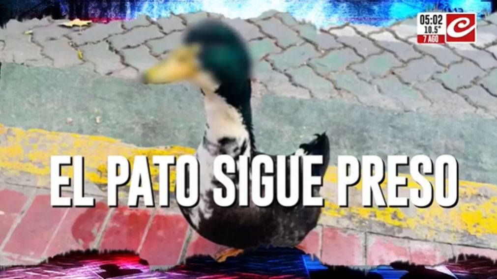 Crónica HD