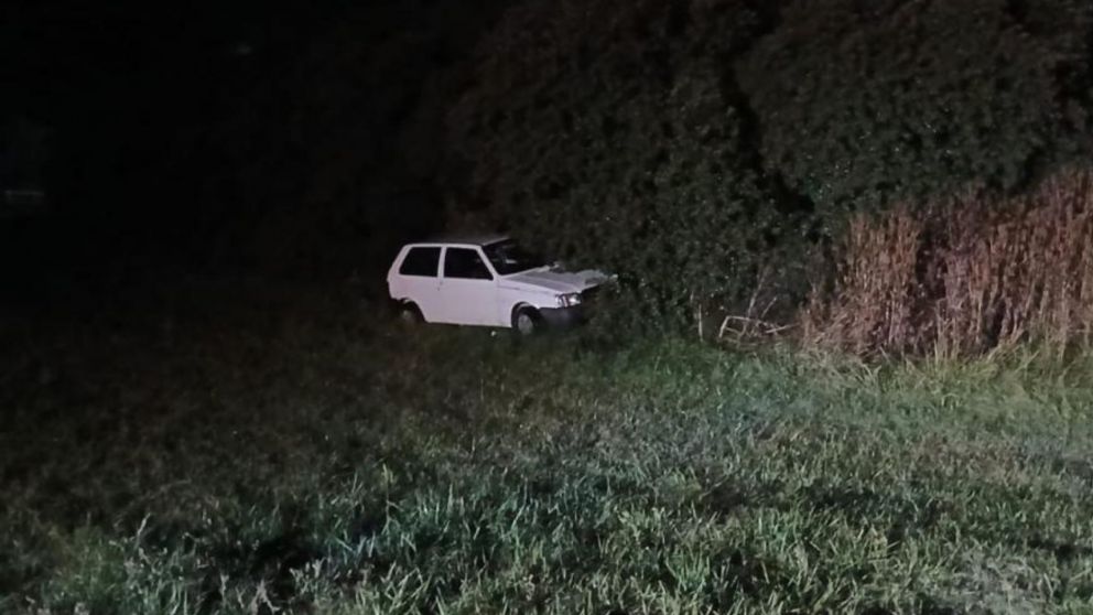 Un hombre de 38 años murió atropellado tras intentar asistir a un conductor que había chocado contra un carpincho en la Ruta 88.