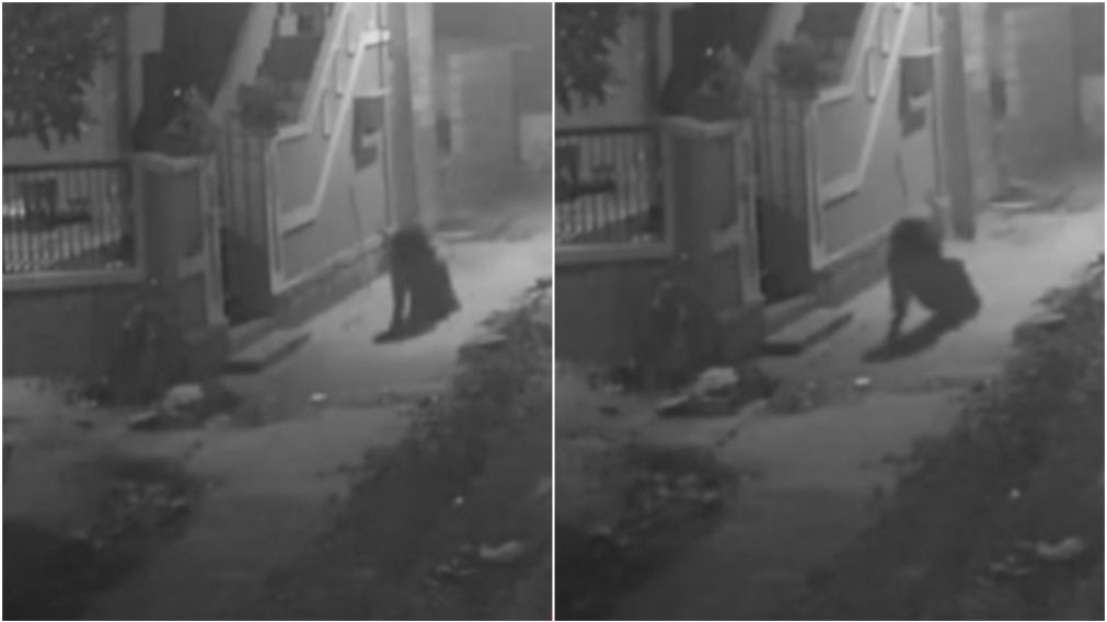 Cámara de seguridad graba a un nahual caminando en las calles durante la madrugada.