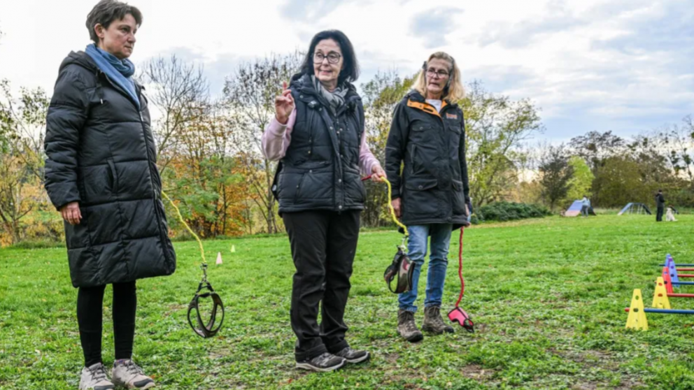 Primero fueron los therians, ahora la tendencia es pasear perros imaginarios: qué es el "Hobby dogging"