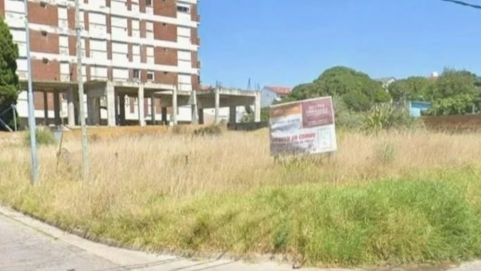 Hallaron el cuerpo de una mujer en un baldío de Punta Mogotes (Imagen 0223).