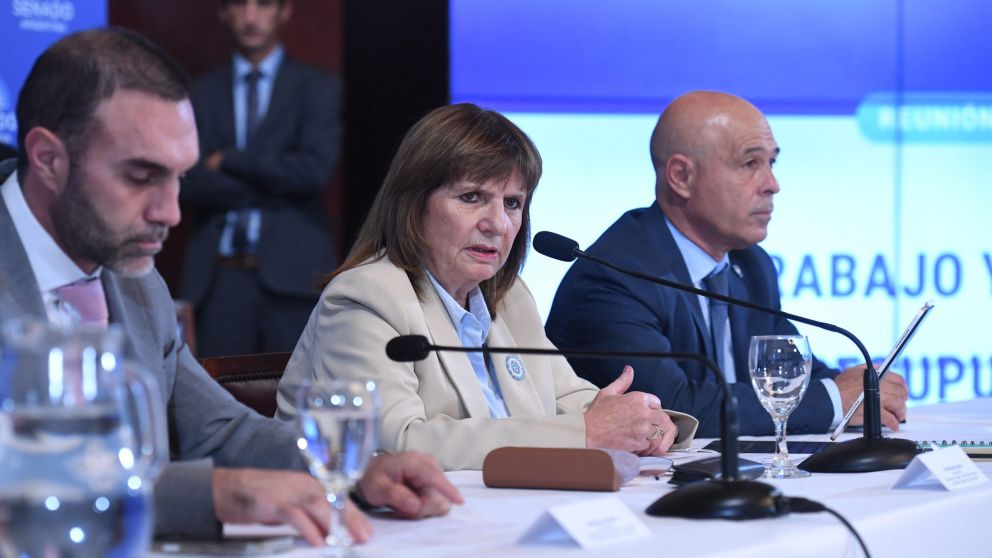 El oficialismo del Senado, liderado por Patricia Bullrich, busca convertir en ley tres proyectos centrales para el Ejecutivo.