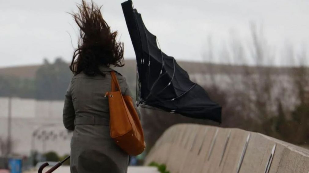 Clima: hay alerta amarilla por fuertes vientos en varias provincias (Imagen ilustrativa).