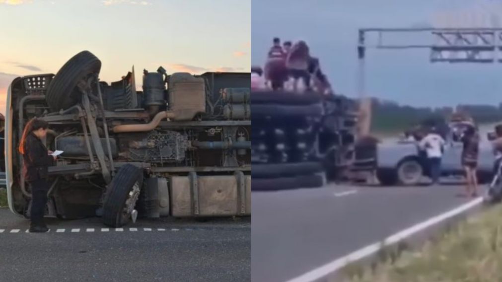 Tras la muerte del camionero, la gente carneó a los animales que estaban en la jaula.