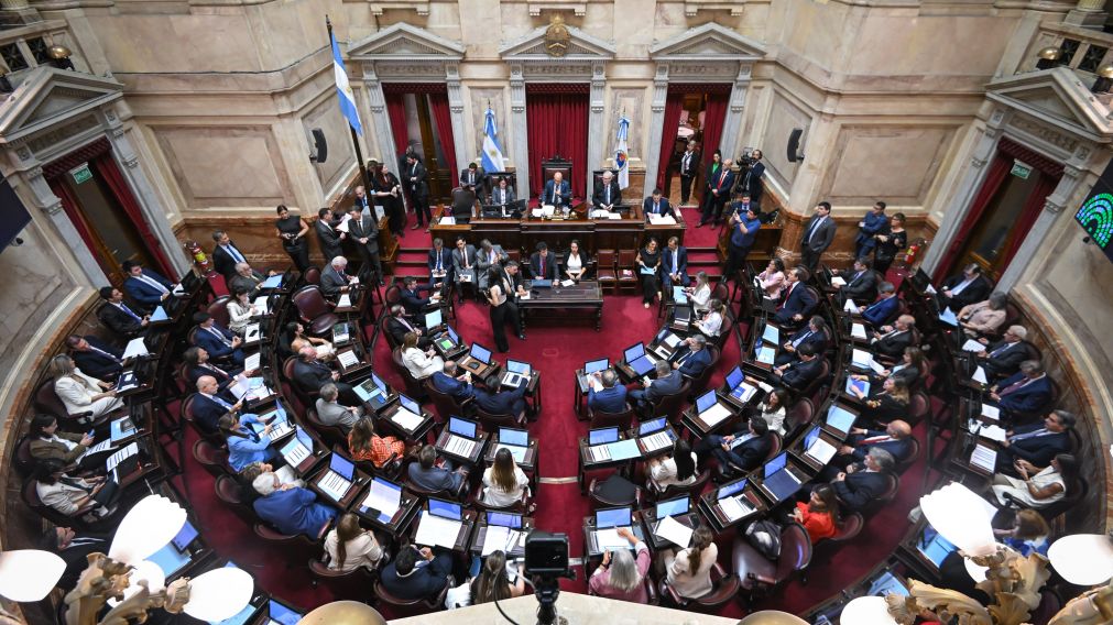 El Senado de la Naci�n deber� examinar el proyecto oficial.