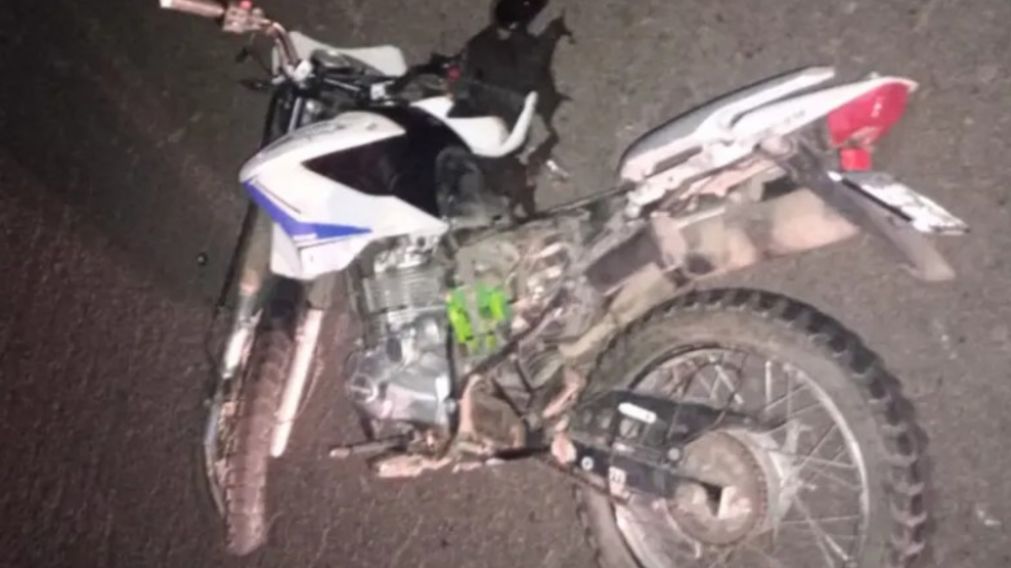 La moto impactó de manera frontal contra el animal que caminaba por la ruta (X).