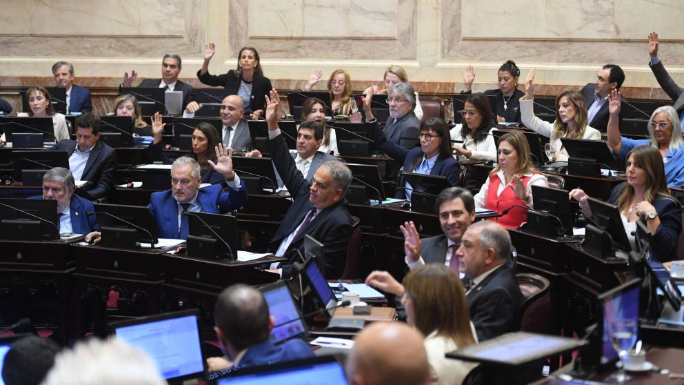 Senado: se aprobó la Ley Penal Juvenil bajando la edad de imputabilidad a los 14 años.