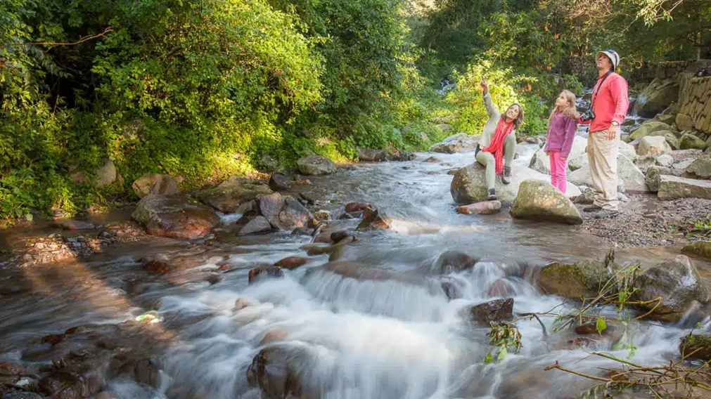 Las cascadas que emergen en medio de la selva: un paraíso para los amantes de la naturaleza.