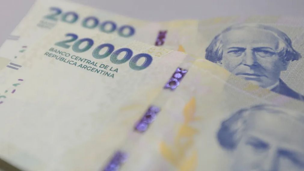 ANSES deposita un extra que supera los $52.000 destinado a familias en situaci�n de vulnerabilidad: �A qui�nes les corresponde?