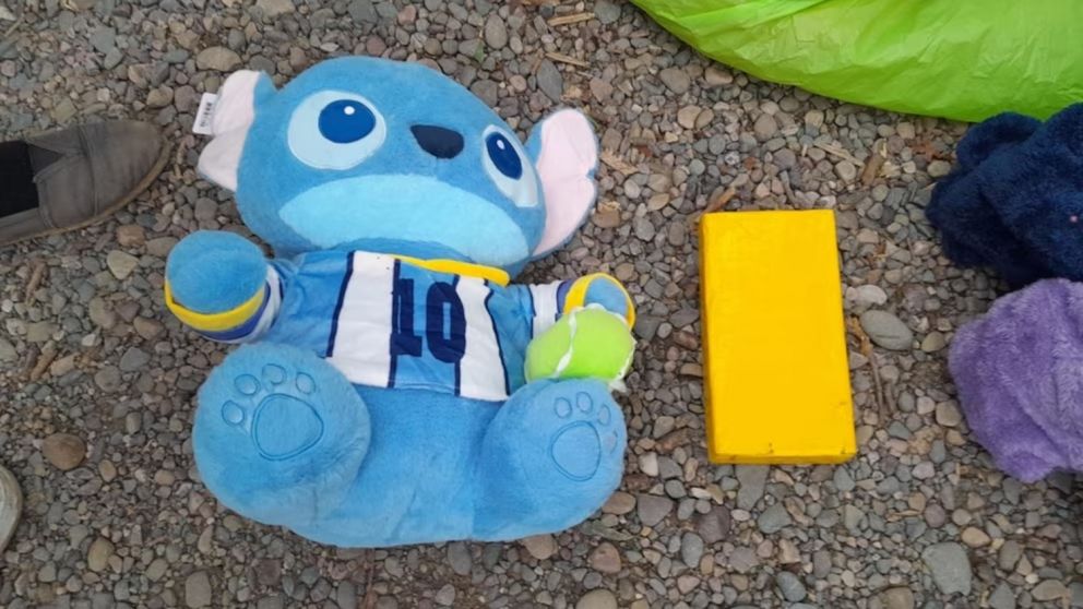 El operativo se realizó en la Ruta Nacional N° 50, a la altura de la ciudad de Orán, en Salta.