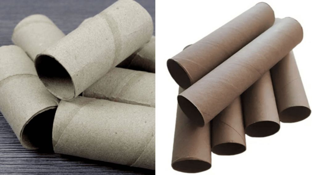 Transform� los rollos de cart�n del papel higi�nico y de cocina en recursos �tiles y ecol�gicos