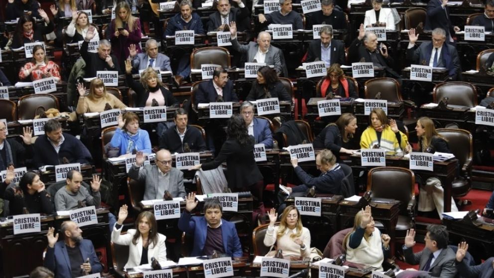 Milei vetó y le pasó la pelota a la oposición en el congreso