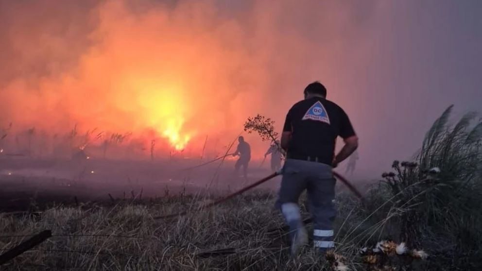 Las llamas ya consumieron cerca de 200 hectáreas en los incendios forestales de Mar del Plata.